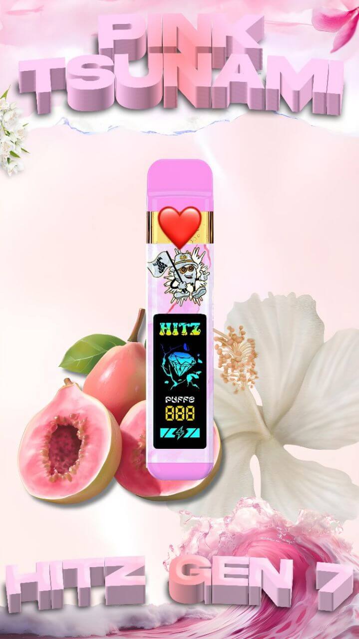 Hitz Disposable